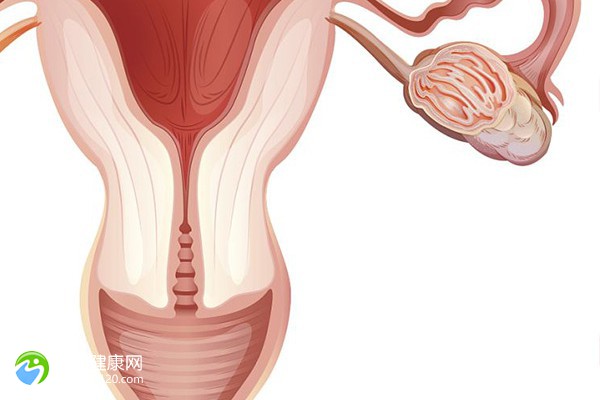 怀孕指南-子宫肌瘤多发长在后壁影响试管吗？