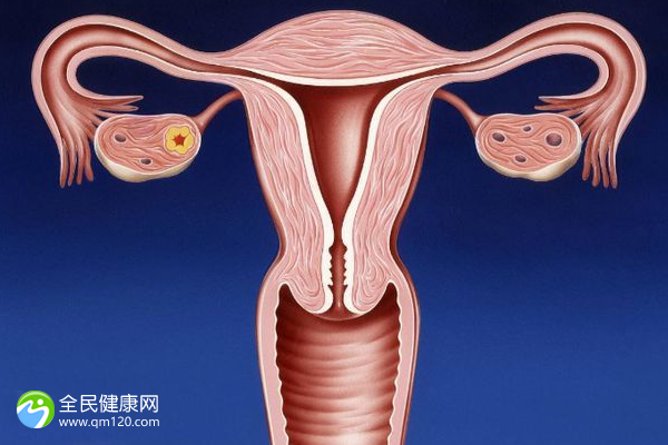 女性患有宫腔粘连做试管成功几率高么？