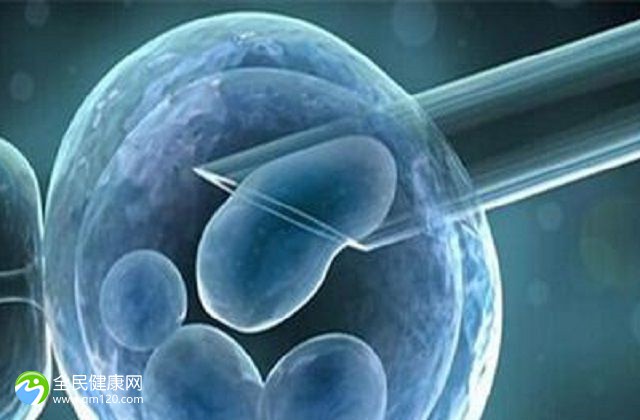为什么试管都要先移植鲜胚-试管先做鲜胚移植的原因