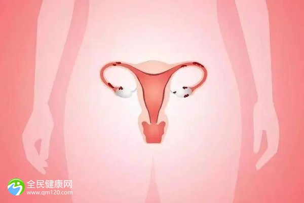 泰国助孕公司哪家好？