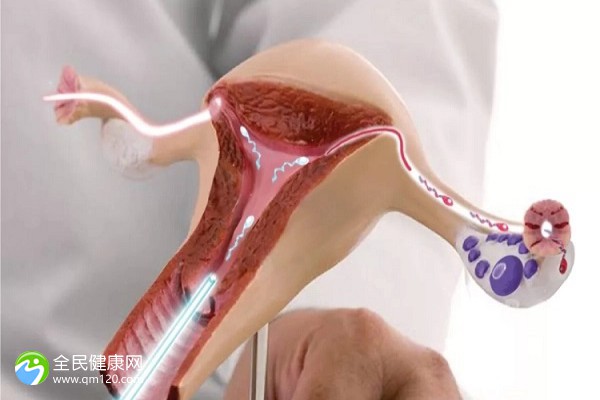 试管内膜涨到多少会来月经？试管婴儿内膜长到多少可以移植？