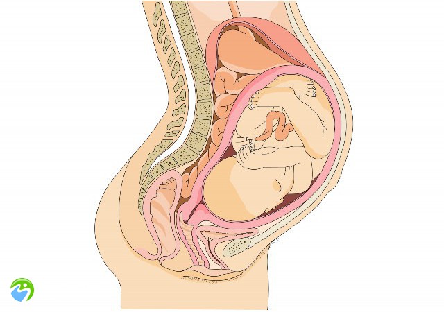 天生没有输卵管能做试管婴儿吗？