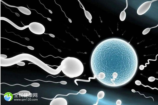天津市试管婴儿正规医院排行榜(天津市做试管婴儿的医院排名)