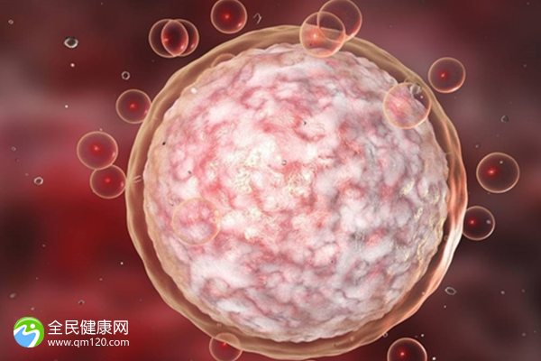 多囊直接试管要多久时间 多囊直接试管要多久时间移植成功