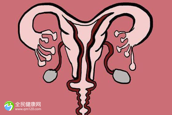 女人没子宫试管婴儿成功率高不高？