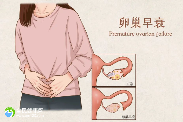 60岁女人绝经后做试管用哪种方案？