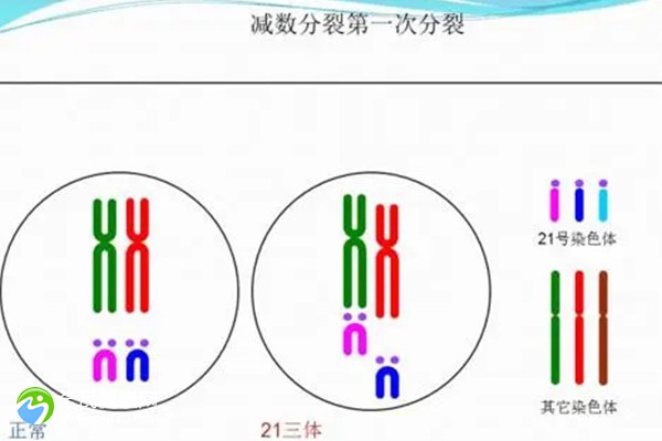 人授失败转试管可以移植几个胚胎？