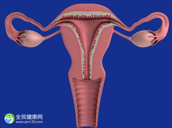 内膜薄只有6试管成功率高吗？