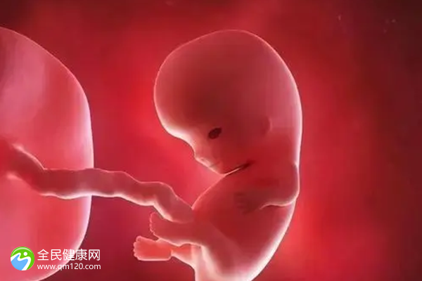 2024宁夏试管婴儿医院大全，助孕成功率最新参考