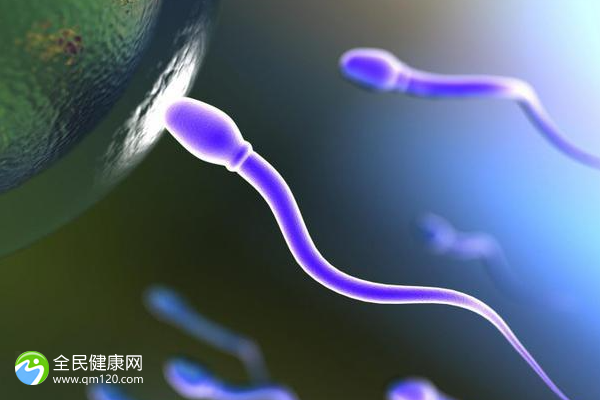 男性没精子能做试管婴儿吗？成功几率高么？