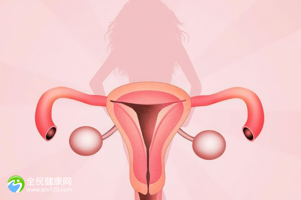 女人没子宫做试管的成功几率是多高？