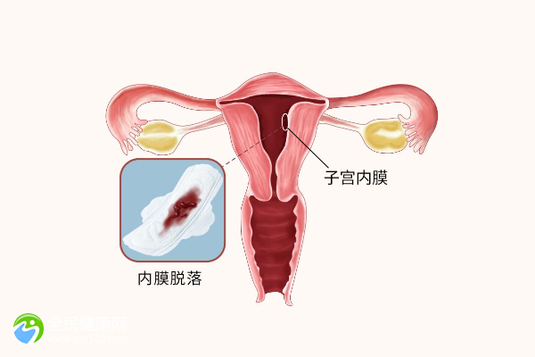 绝经2年试管成功率高不高？