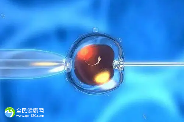 试管移植囊胚应该注意什么？