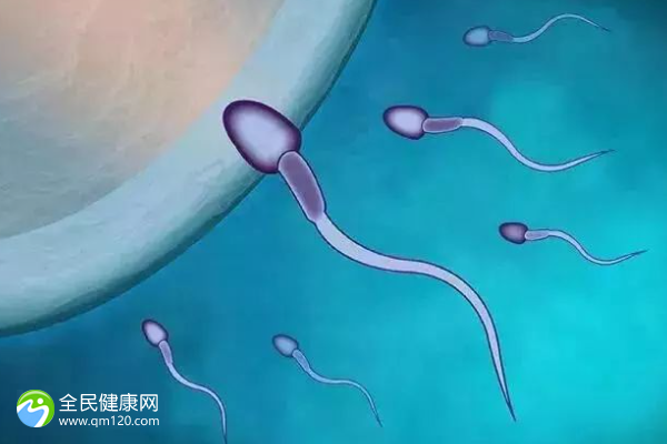 试管男性精子需要什么标准？