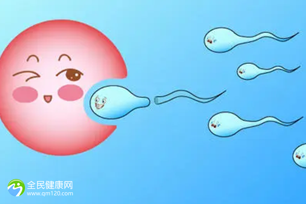 三代试管养了六个胚胎能成功吗？