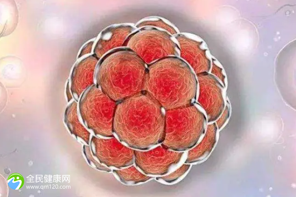 卵泡17mm成熟需要几天 内膜8卵泡15x16mm成熟了吗