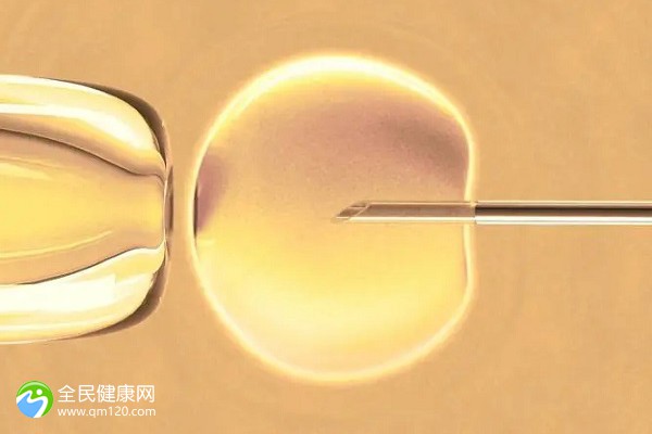 三代试管的胚胎是囊胚嘛？