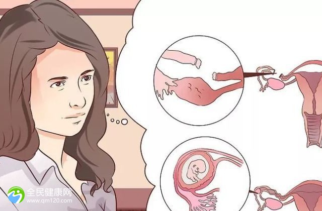 三代试管移入几个胚胎？