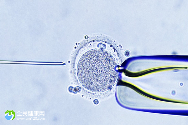 全国能做三代试管的医院有几家，全国能做三代试管婴儿的医院有哪些