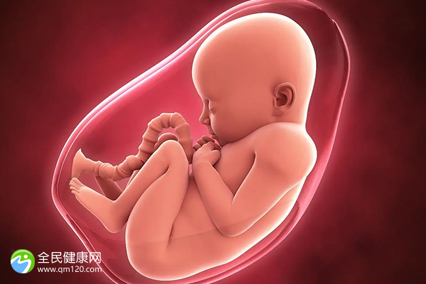 荆州三代试管婴儿比较好的私立医院排名最新汇总，试管是怎么做的