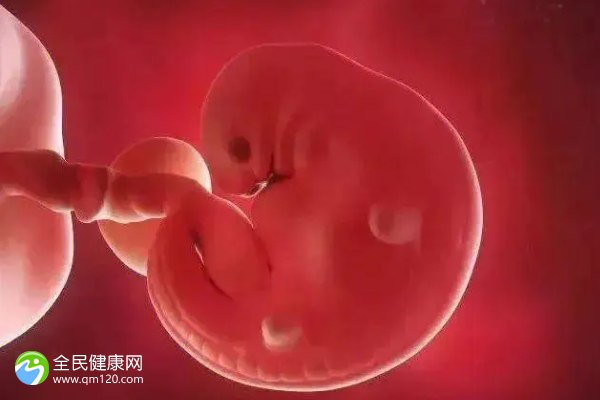 试管未成功胚胎会有染色体吗？试管没成功的胚胎去哪了？