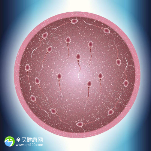 监测卵泡多大可以同房 卵泡1.8x1.6该同房吗