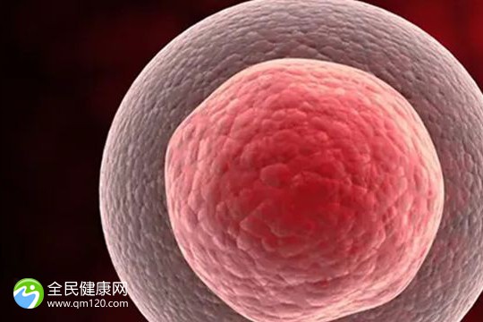 三代试管做宫腔镜能报销吗？