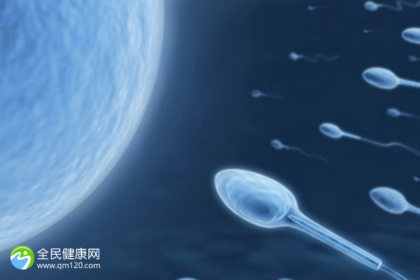 二胎试管冻囊胚成功率，二胎试管冻囊胚成功率多少