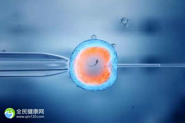 精子很少试管婴儿成功几率多高？