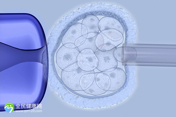 试管胎停查免疫什么时候查比较好？试管胎停了有没必要验一下胚？