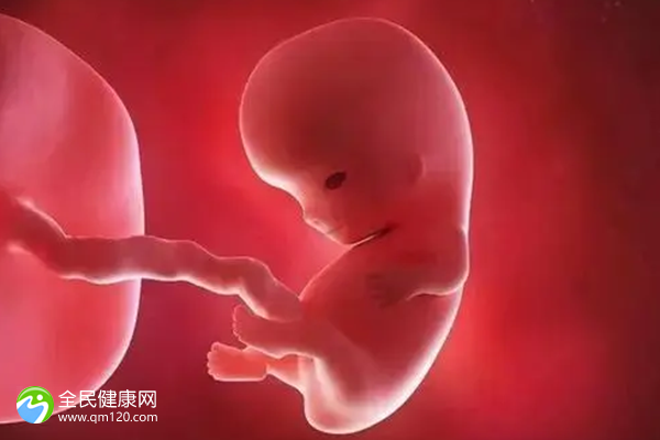 第三代试管婴儿是第几天的胚胎？