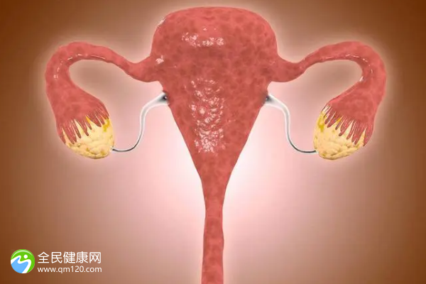 多囊卵巢需要试管的概率大吗？多囊卵巢综合症需要试管