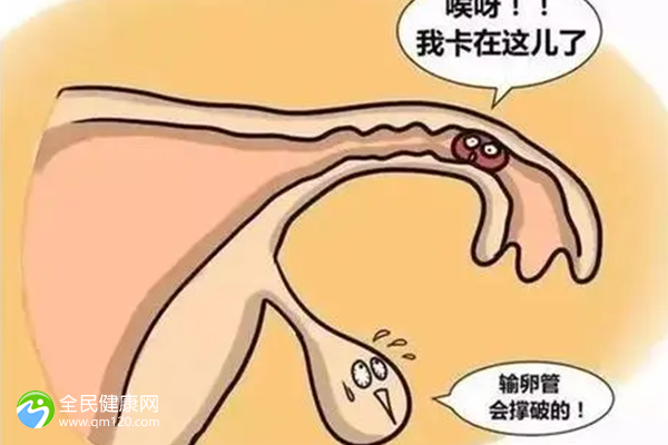 试管港黄用到什么时候(港黄一般用到多少周)