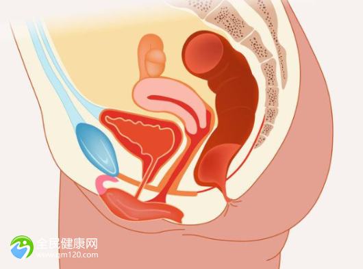 多囊卵巢可不可以做试管？