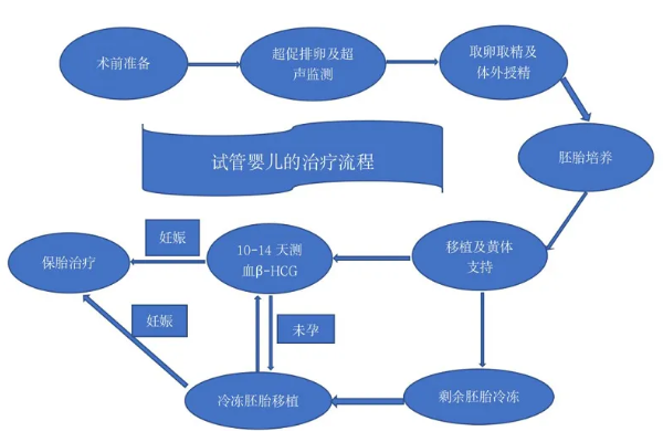 三代试管婴儿的全部流程