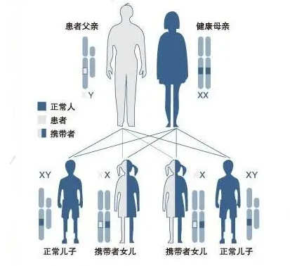 三代试管能排除的遗传病有哪些