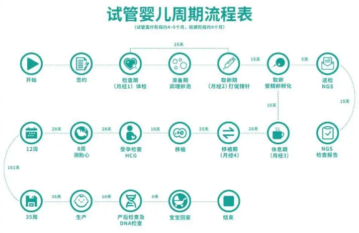 泰国三代试管流程时间表