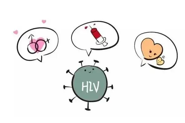 国内可以做HIV洗精吗